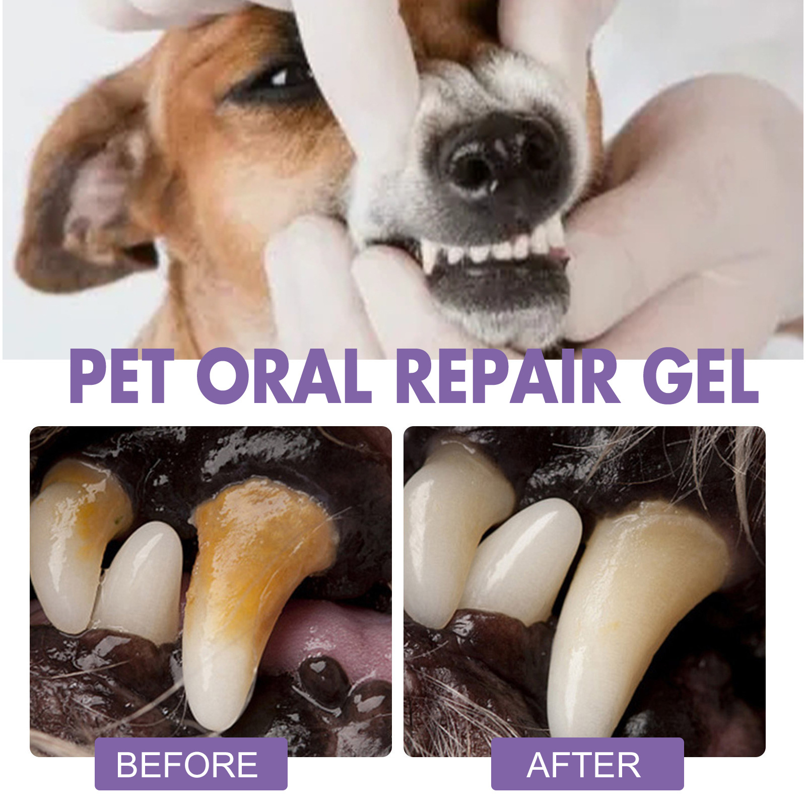 Pet Oral Repair Gel Puppy Tart - Teeth Whitening Before And After recension och pris