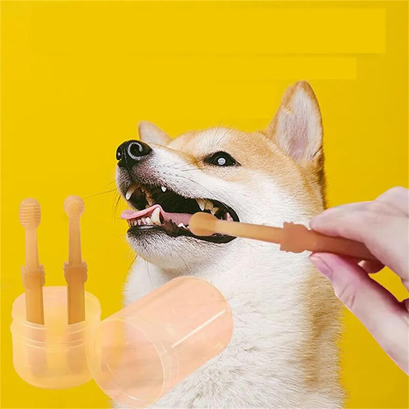 Teeth Whitening Dog Cat Silico - Teeth Whitening Kit recension och pris