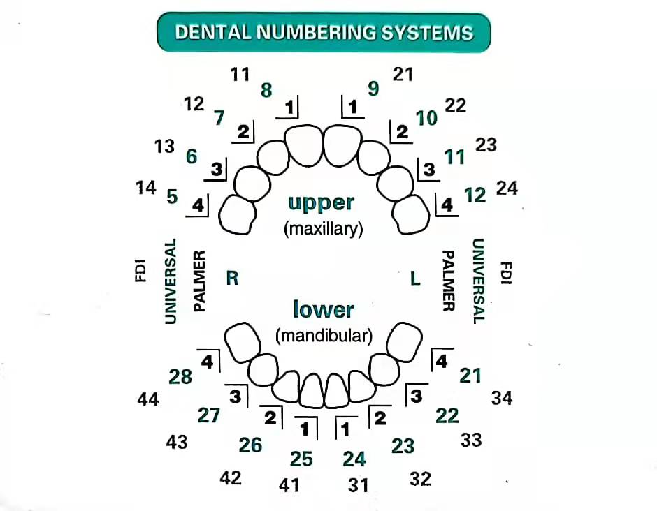 32pcs/Set Dental Veneer Mould  - Teeth Whitening Moulds recension och pris